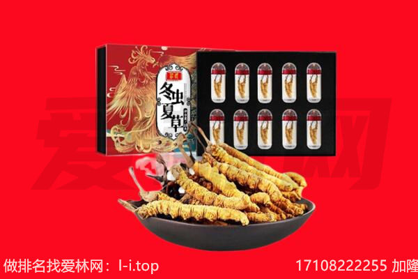 衡水景县回收虫草.jpg